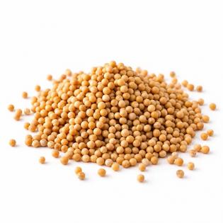 Graine de moutarde blonde entière 1kg
